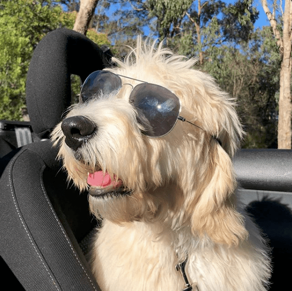 Instagram - @barnabas_adventures