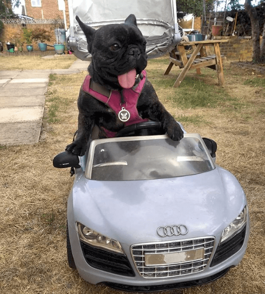 Instagram - @herbalaire