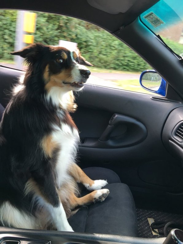 Twitter - @markriccioni