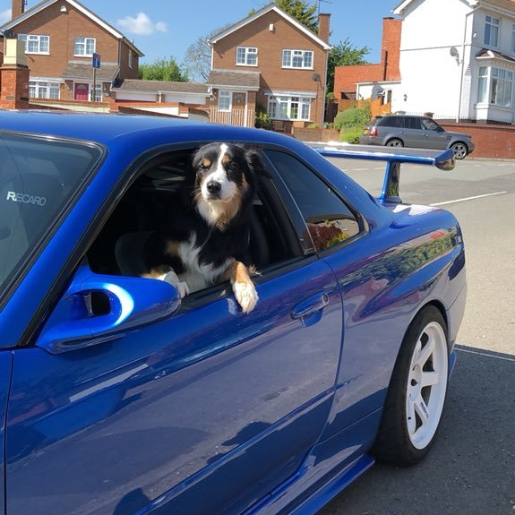 Twitter - @markriccioni