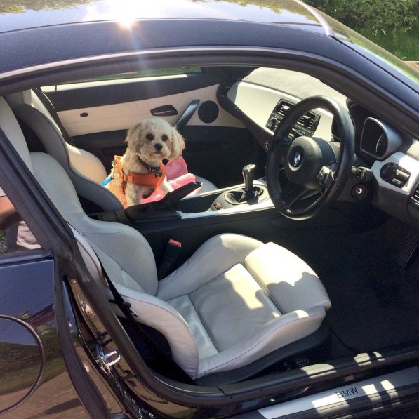 Twitter - @mikepattinson