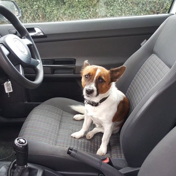 Twitter - @paddy17177