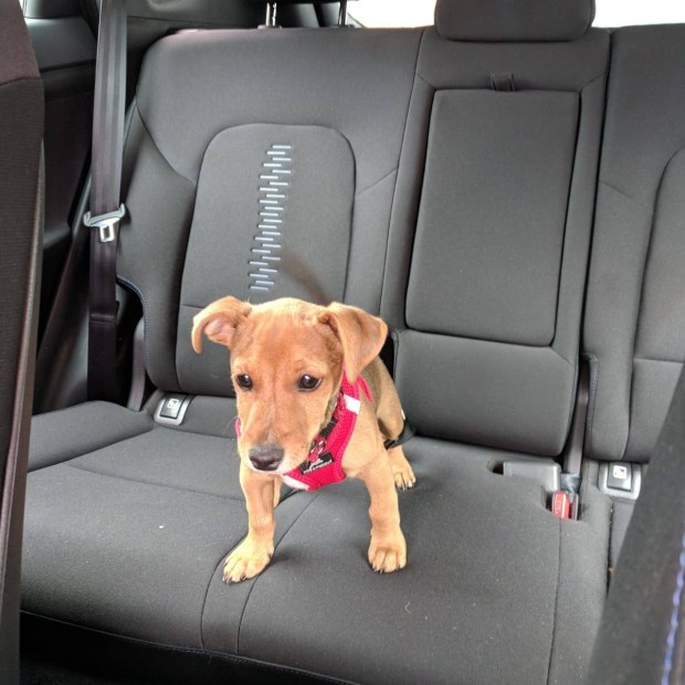 Twitter - @kgriffin29